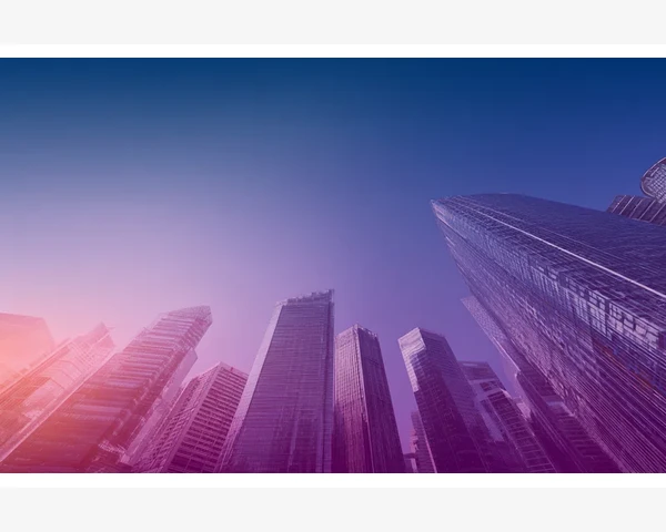 B2B参与者生态链中的关键角色